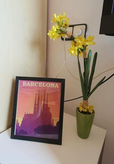 Lovely Appart & Sky View Sagrada Familia Barcellona
